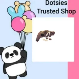 Pet | Giant Anteater