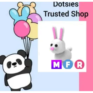 Pet | MFR Rabbit
