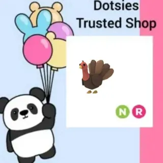 Pet | NR Turkey