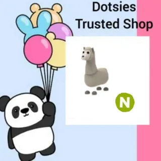 Pet | N Llama