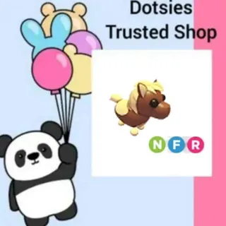 Pet | NFR Shetland Pony Dark Brown