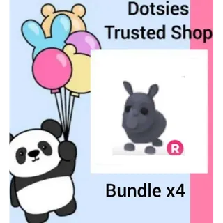 Bundle | X4 R Rhino