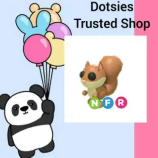 Pet | NFR Red Squirrel