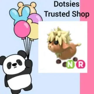 Pet | NR Highland Cow