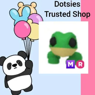 Pet | MR Frog