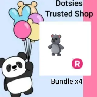 X4 R Koala