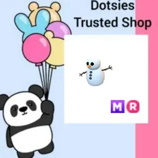 Pet | MR Snowman