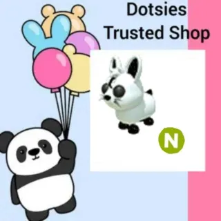 Pet | N Moon Rabbit