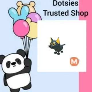 Pet | M Abyssinian Cat