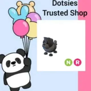 Pet | NR Black Chow Chow