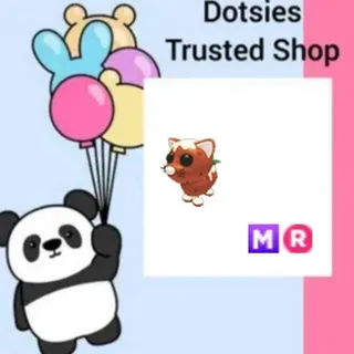Pet | MR Pudding Cat