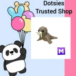 Pet | M Walrus