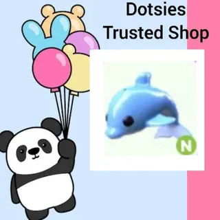 Pet | N Dolphin