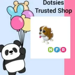 Pet | NFR Brown Springer Spaniel