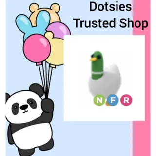 Pet | NFR Silly Duck