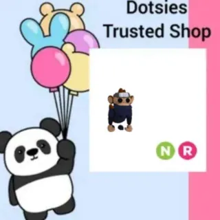 Pet | NR Ninja Monkey