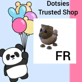 Pet | FR Chocolate Chow Chow