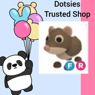 Pet | FR Shrew