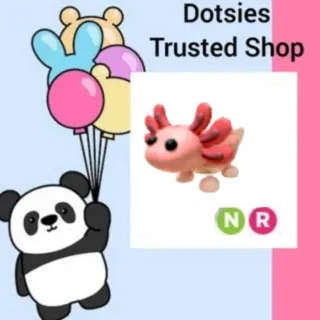 Pet | NR Axolotl