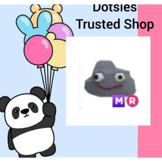 Pet | MR Rock