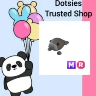 MR Dugong
