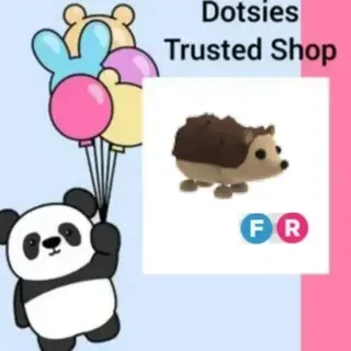 Pet | FR Hedgehog