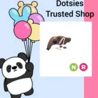 Pet | NR Giant Anteater