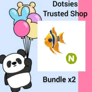 Bundle | X2 N Angelfish