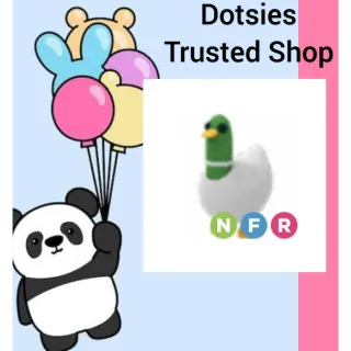 Pet | NFR Silly Duck