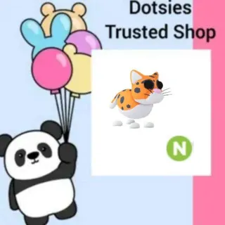 Pet | N Indian Leopard