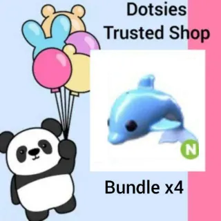 Bundle | X4 N Dolphin