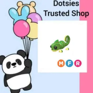 Pet | MFR Chameleon