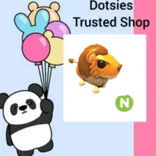 Pet | N Steppe Lion