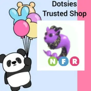 Pet | NFR Capricorn