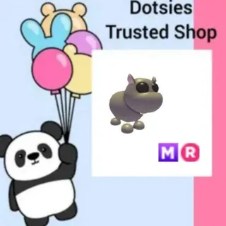 Pet | MR Hippo