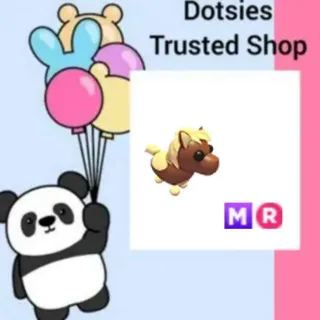 MR Shetland Pony Dark Brown