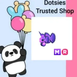 MR Singularity Pisces