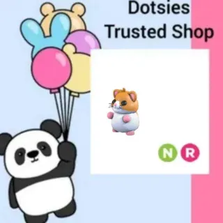 NR Hamster