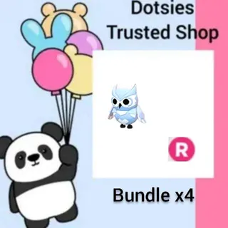 Bundle | X4 R Snow Owl