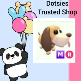 Pet | MR Bloodhound
