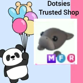 Pet | MFR Dugong