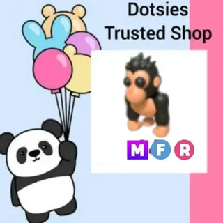 Pet | MFR Gorilla