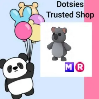 Pet | MR Koala