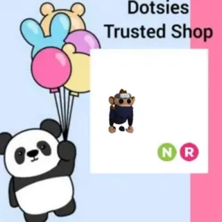Pet | NR Ninja Monkey
