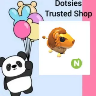 Pet | N Steppe Lion