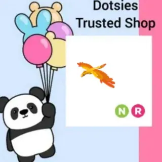 Pet | NR Phoenix