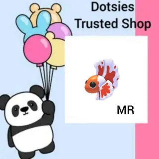 MR Orange Betta Fish