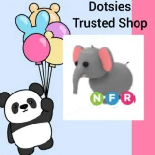 Pet | NFR Elephant