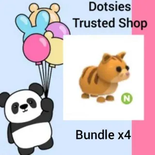 Bundle | X4 N Ginger Cat
