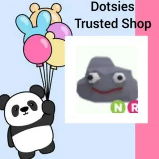 Pet | NR Rock